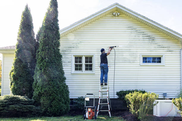 Best Driveway Pressure Washing  in St Paul, NE